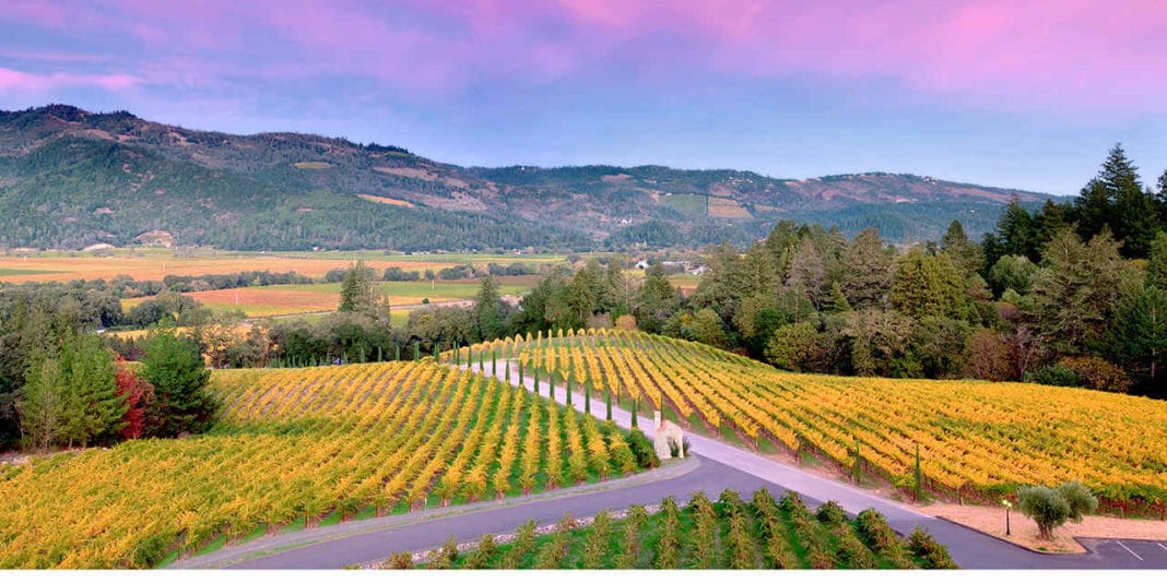 Best Wineries To Visit In Napa 2024 - Alicia Lorraine