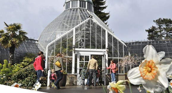 Botanical Conservatory