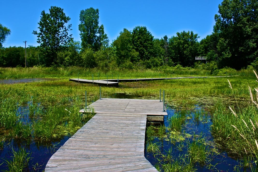 Blandford Nature Center