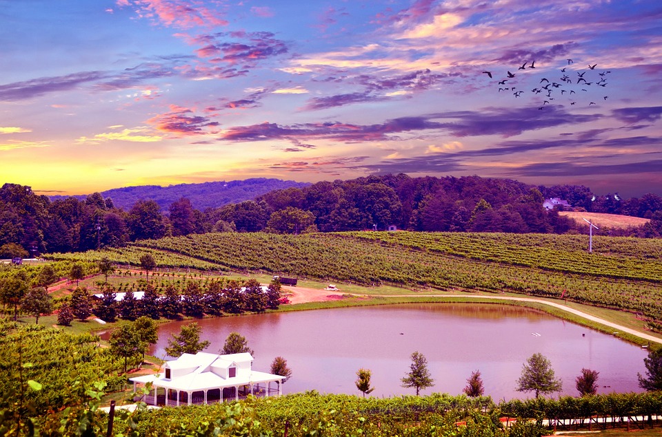 best vacation spots for couples - Napa