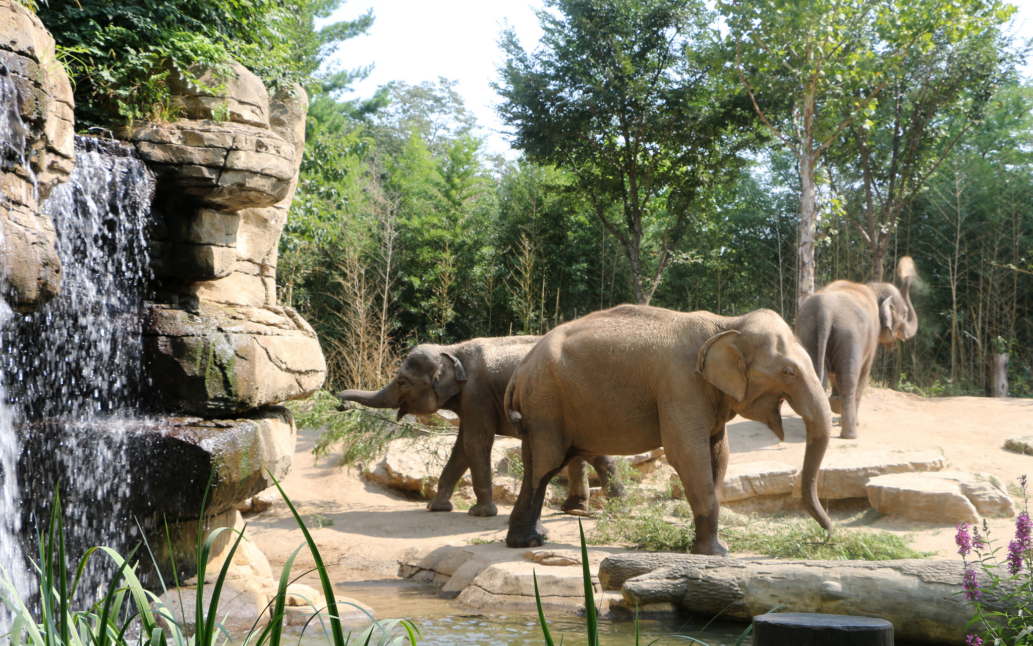 best time to visit zoo