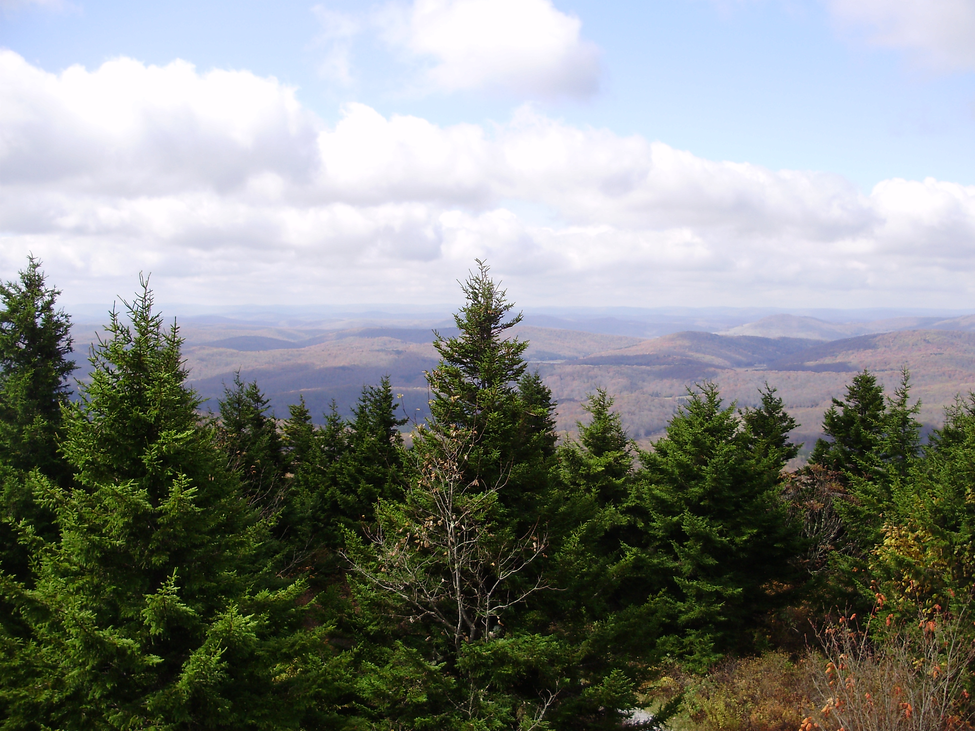 West Virginia mountains - Red Spruce Knob