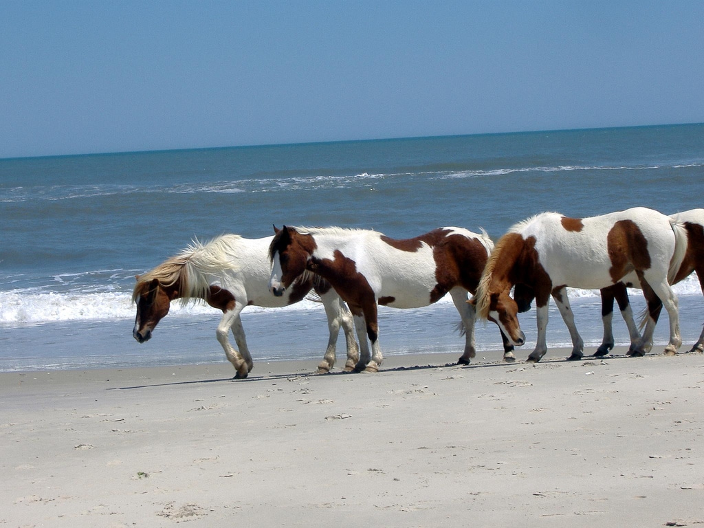 beaches in Maryland