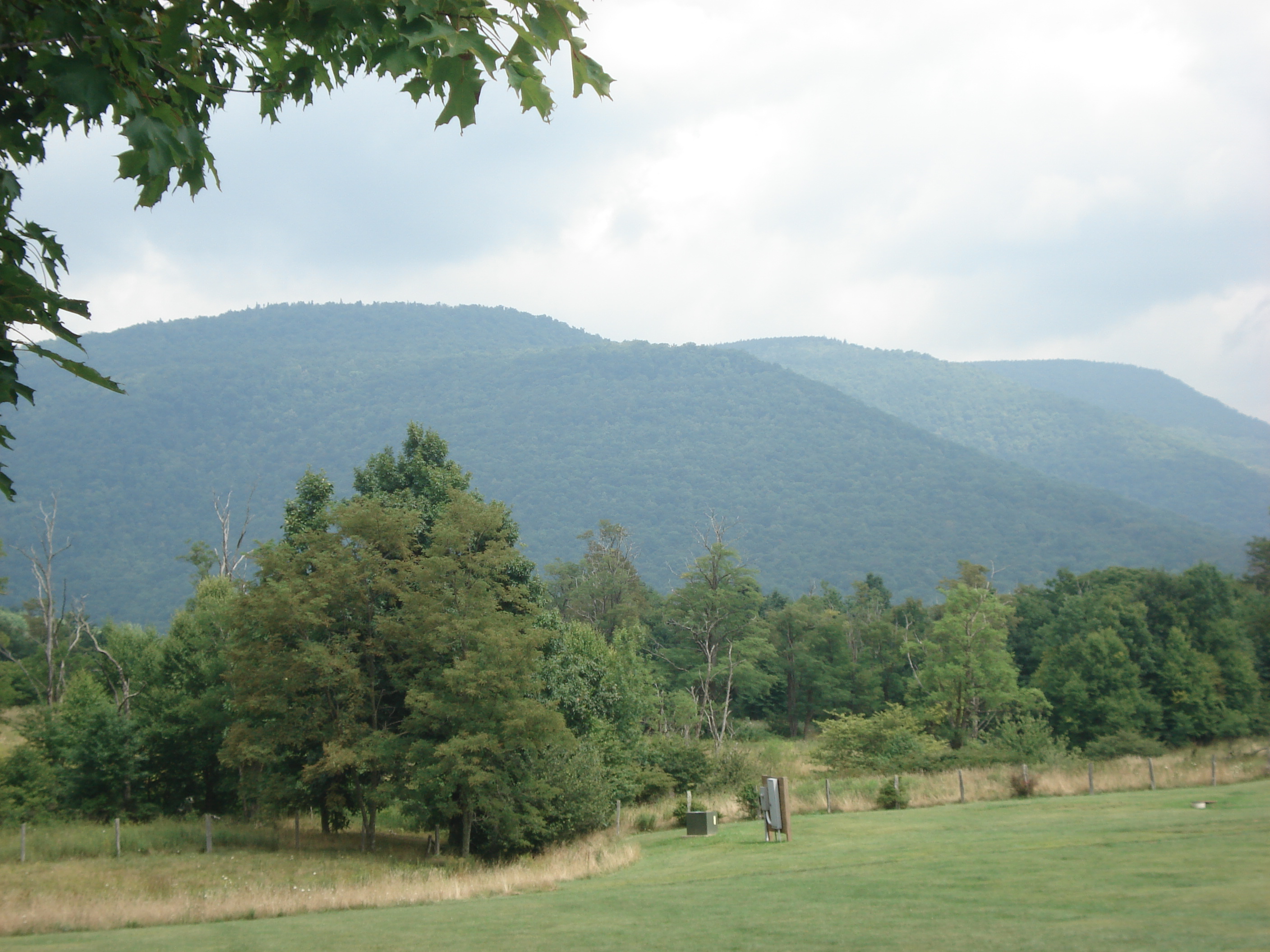 Back Allegheny Mountain