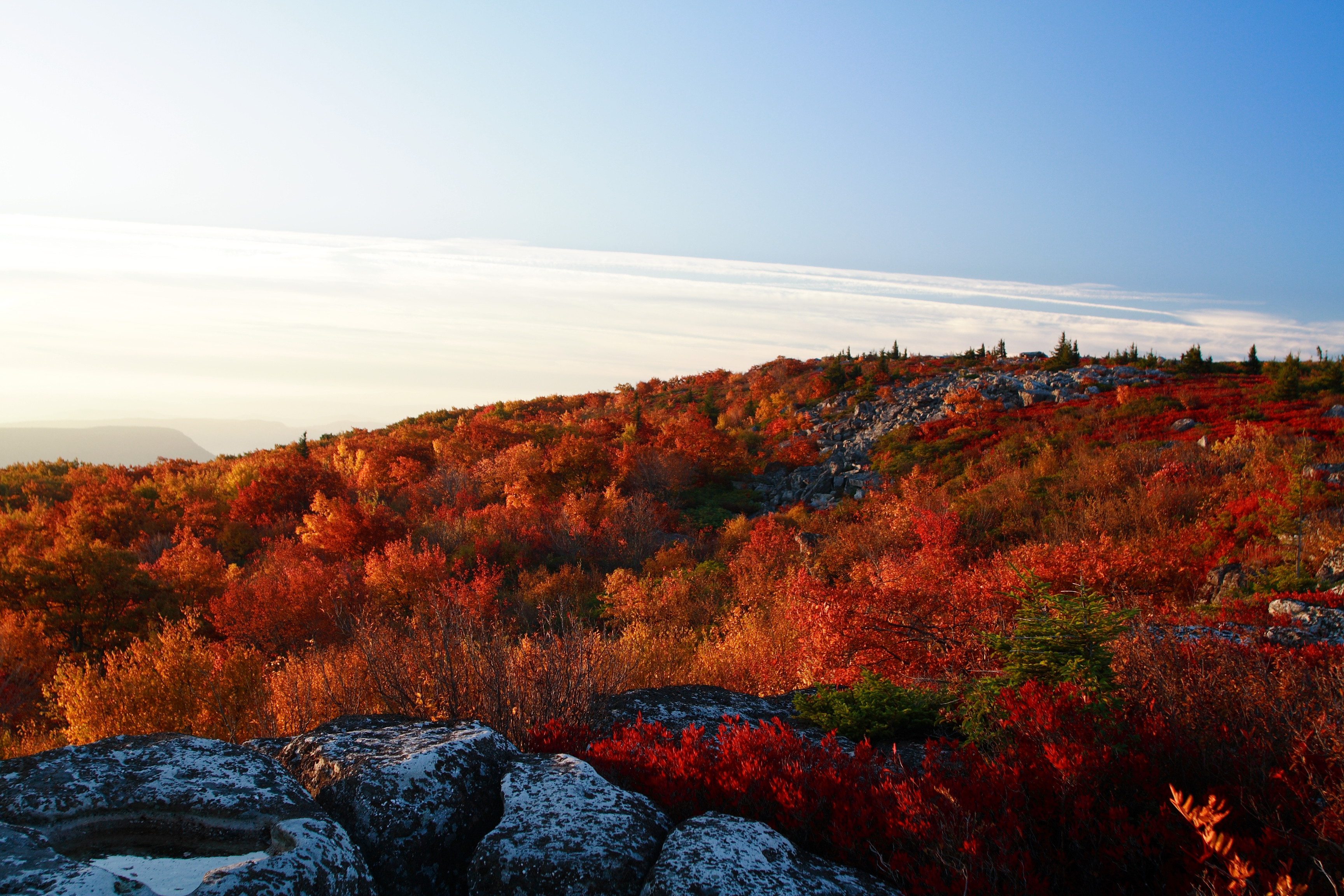 West Virginia mountains - Bear Rocks