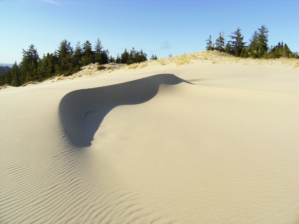 things to do in oregon -  Dunes Day