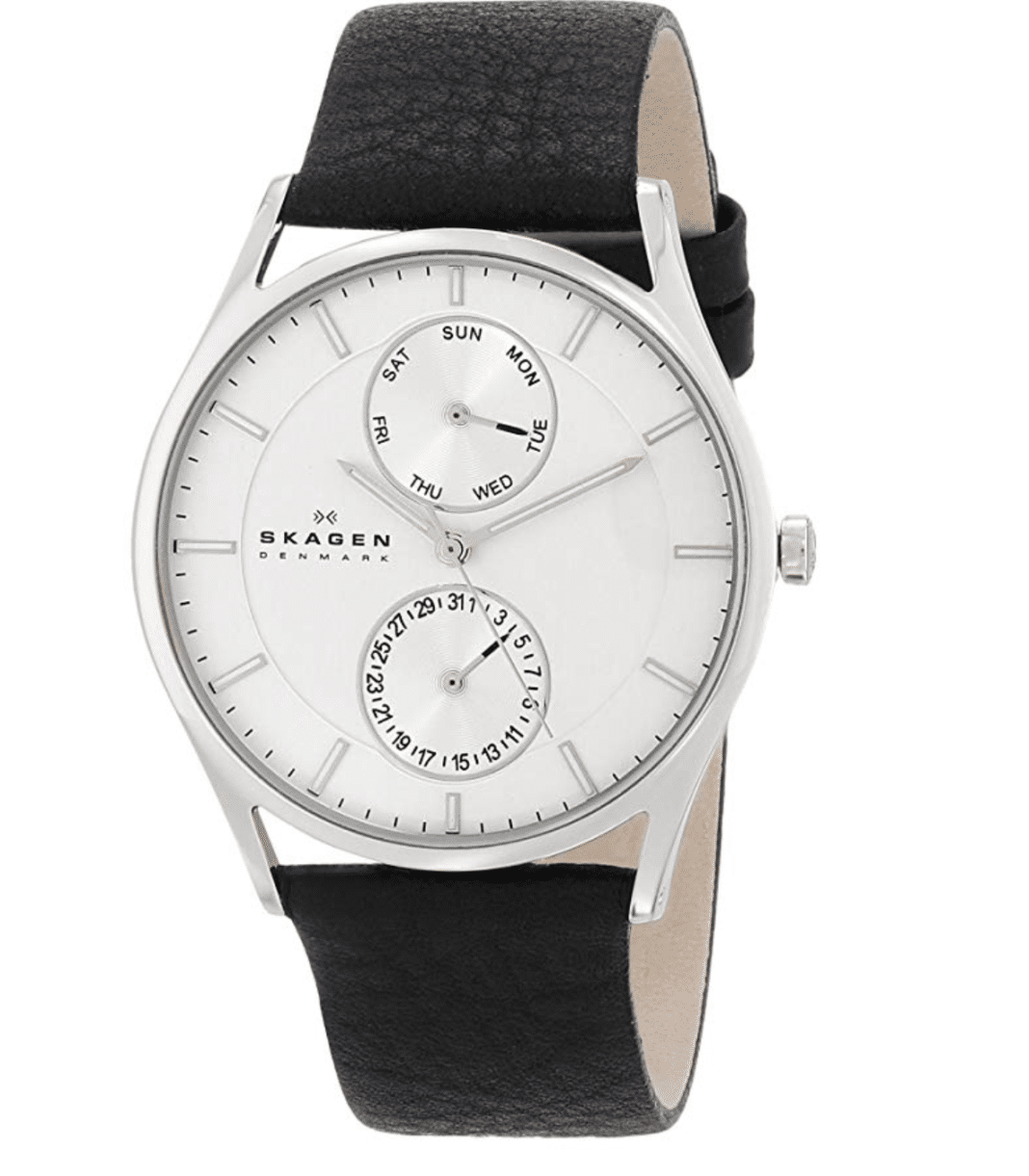 Best Watches Under $100 - Skagen Men's