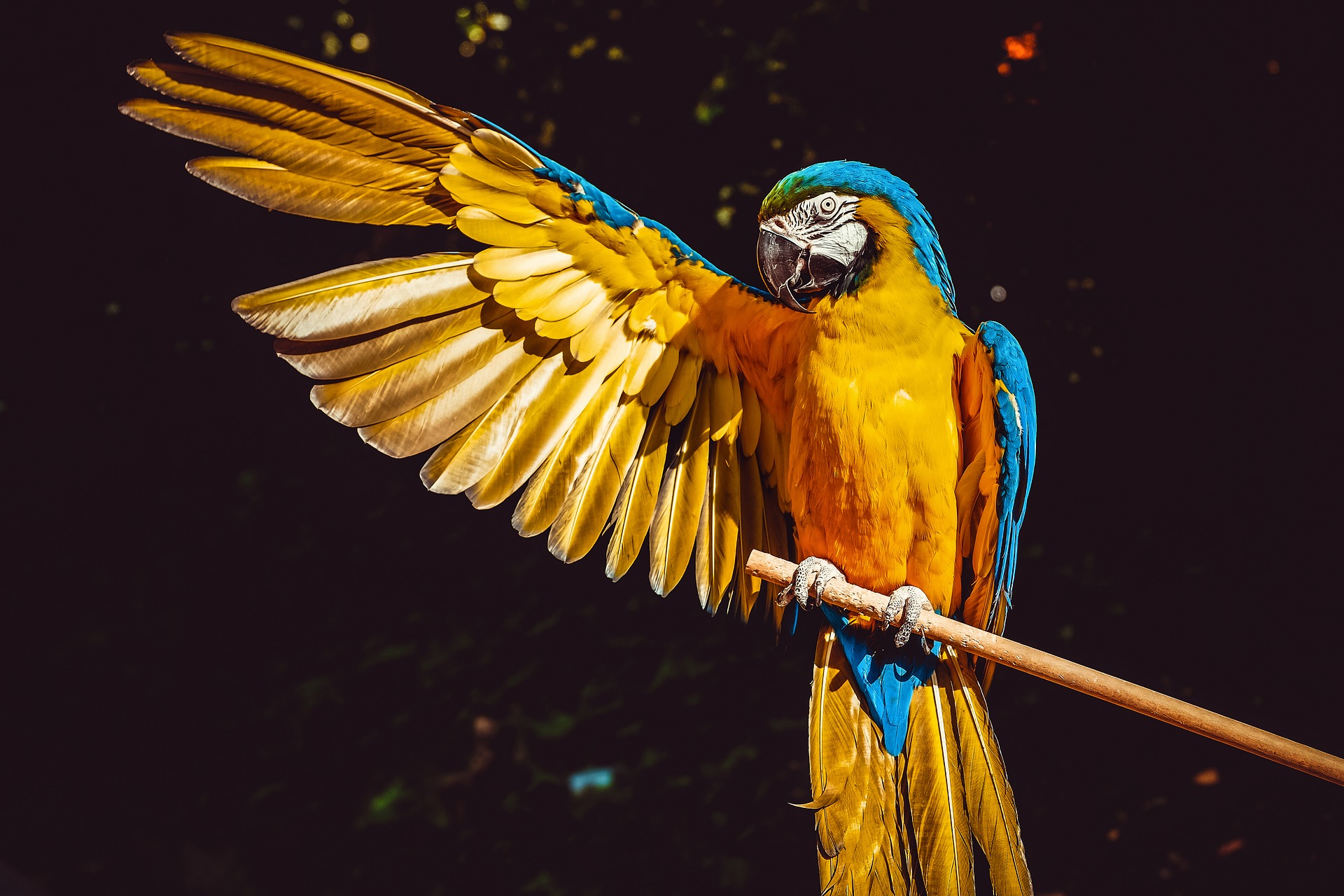 best zoos in the us - Audubon