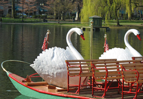 places to visit in boston - Swan Boats