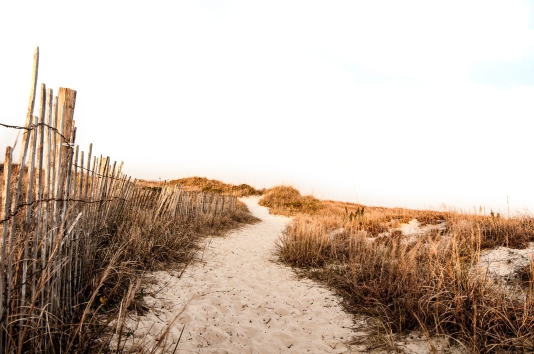 7 Delaware Beaches to Visit This Summer Season