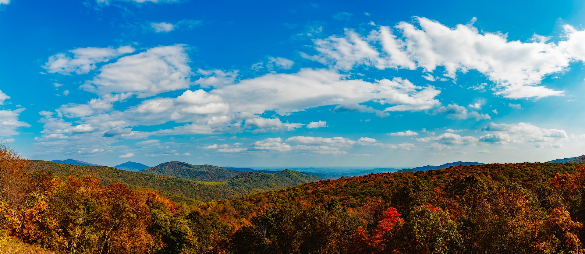 best Us national parks - Shenandoah