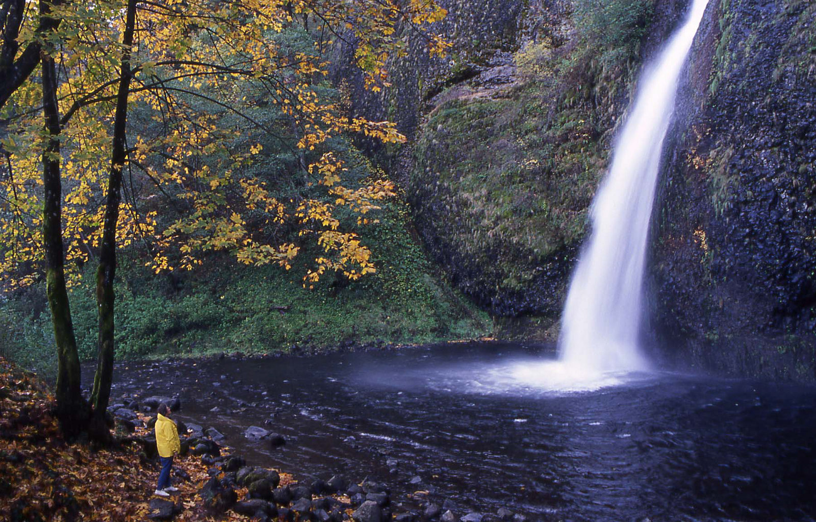 fall scenery - Columbia River Gorge