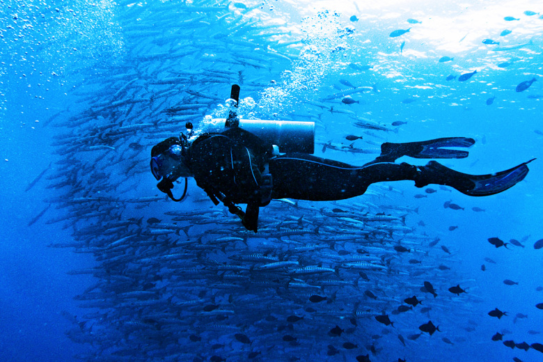 best scuba diving in the world - Barracuda Point