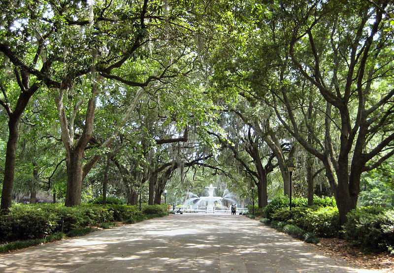 places to visit in georgia - Savannah