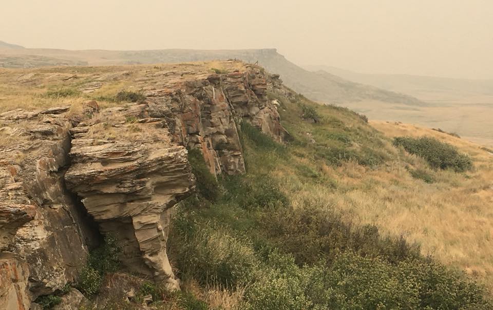 things to do in Calgary - Buffalo Jump