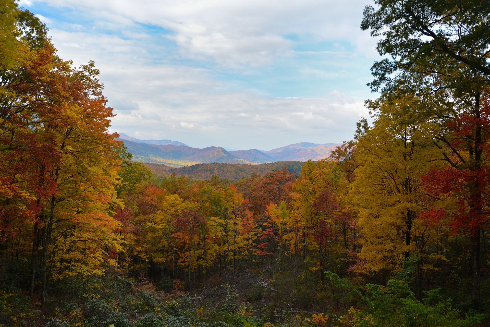 fall scenery - Pigeon Forge