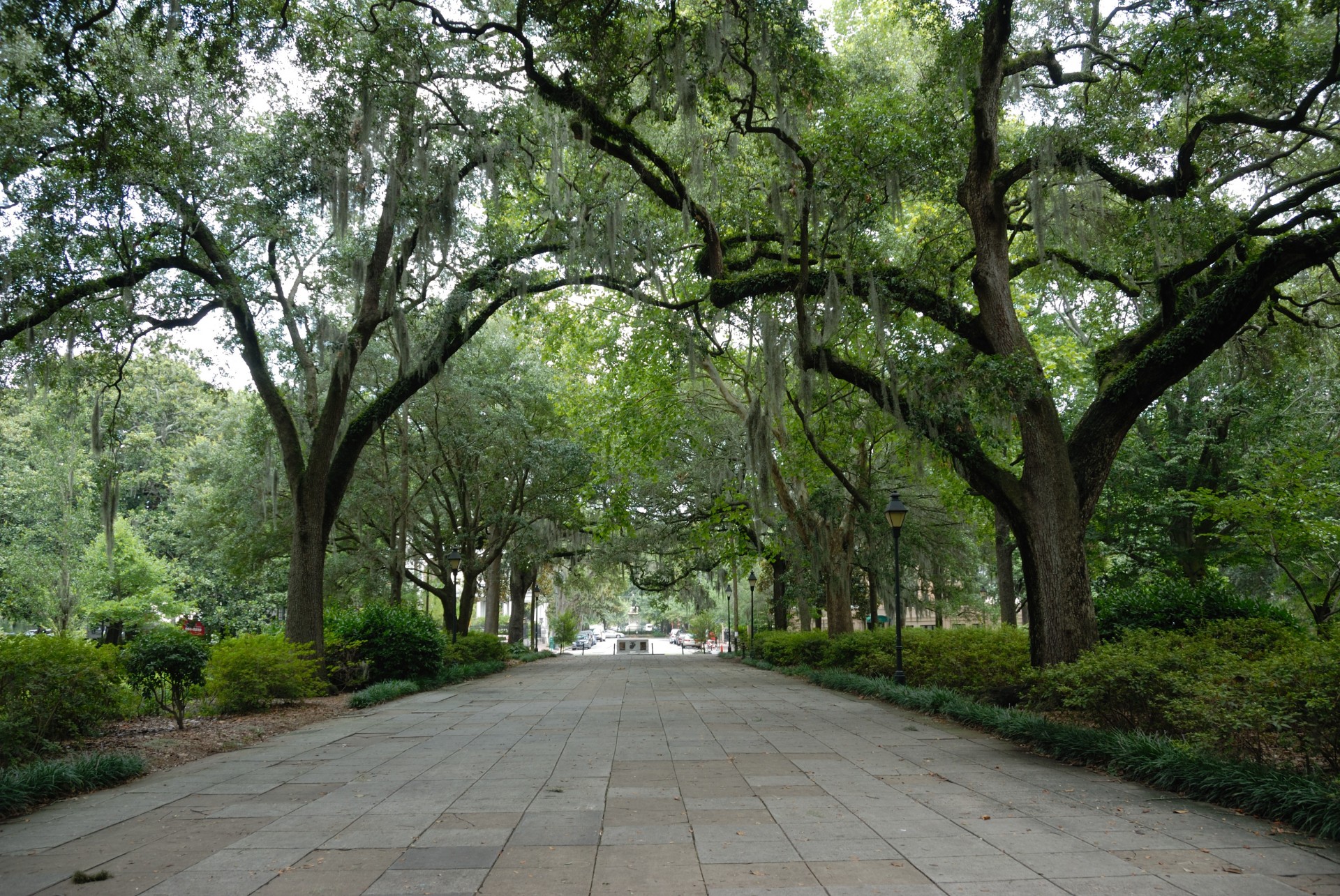 17 Best Things to Do in Savannah, Georgia - trekbible