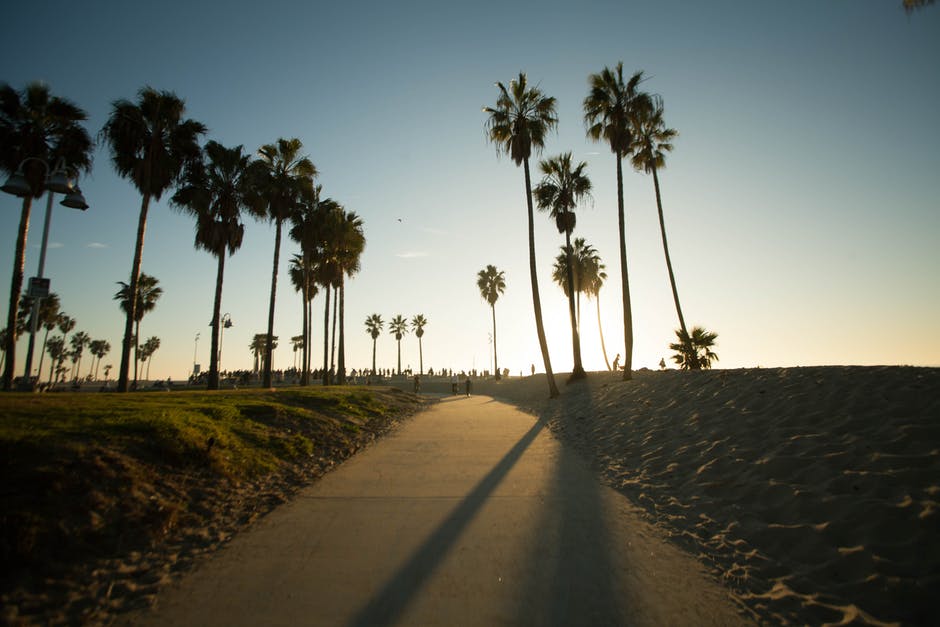 best beaches in Los Angeles - Venice Beach