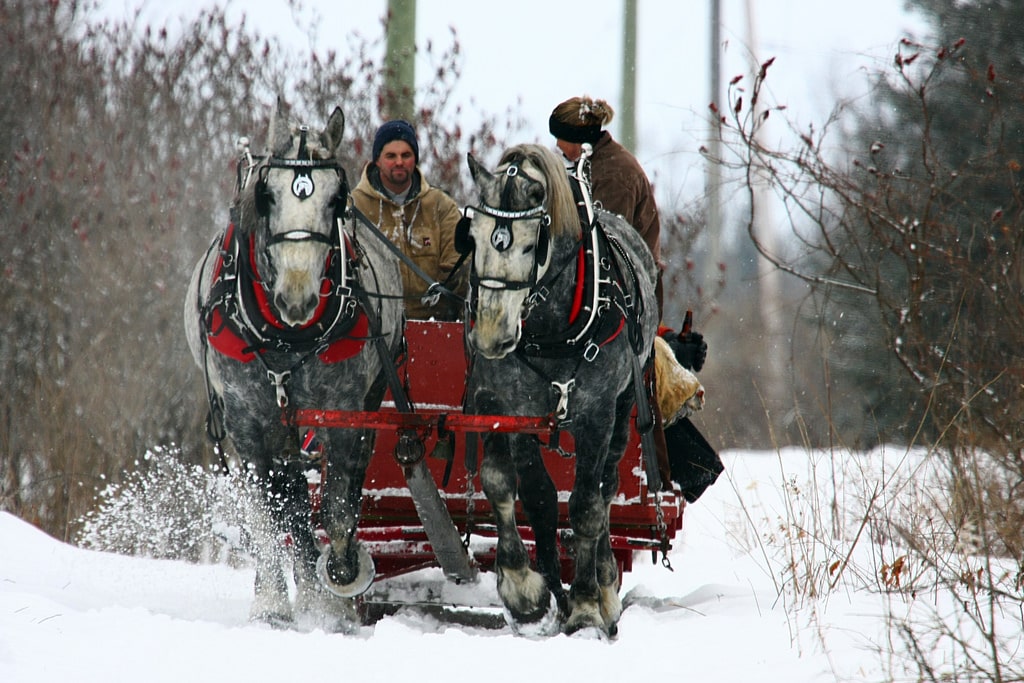 things to do in breckenridge - Sleigh Ride