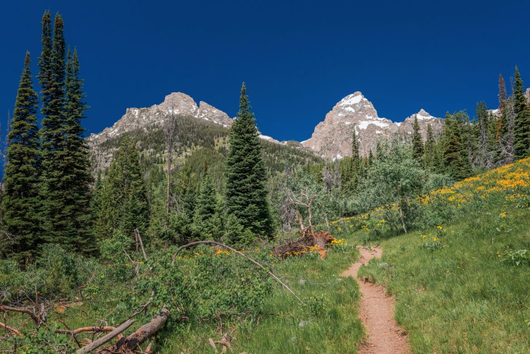 best hiking trails in every state - Wyoming - Taggart Lake Loop