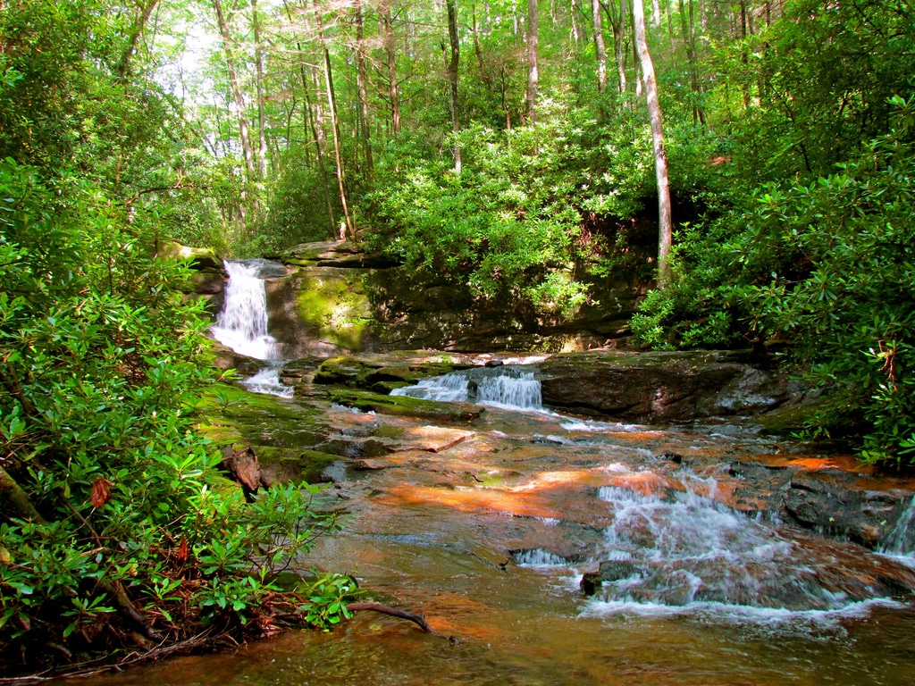 best hiking trails in every state - Georgia - Raven Cliff Falls Trail