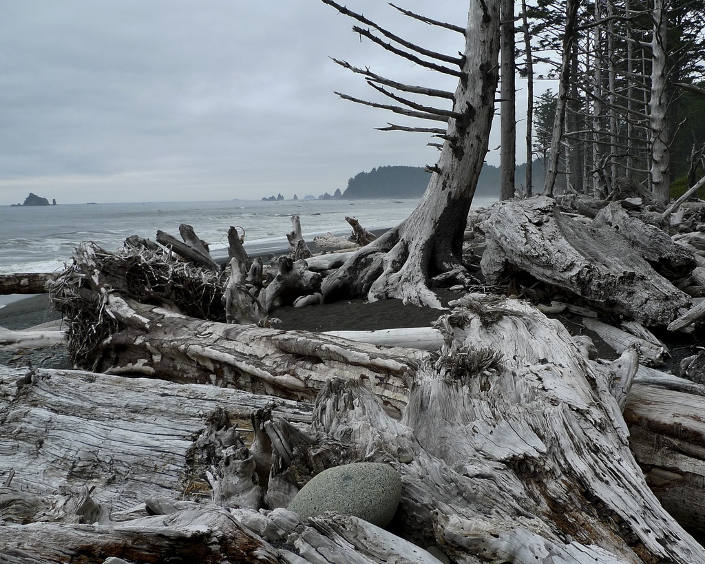 things to do in Washington state - Rialto Beach in Olympia Park