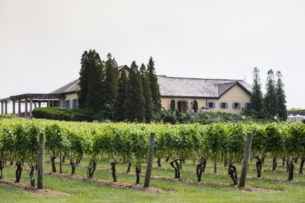 long island wineries - Wölffer Estate Vineyard