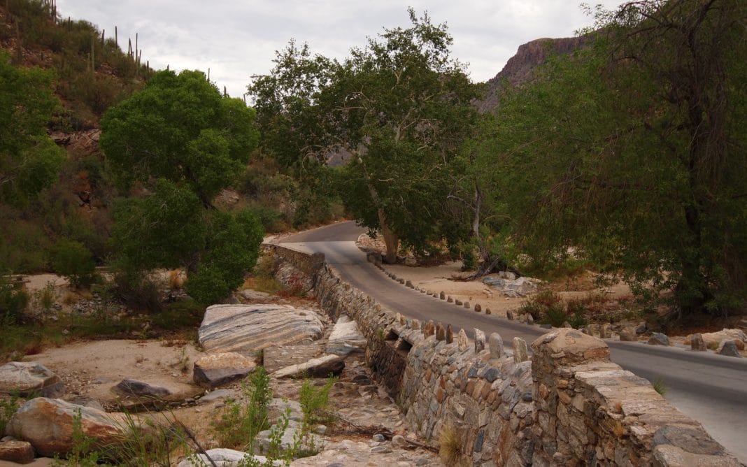 Fun Things to Do in Tucson -  Sabino Canyon Recreation Area