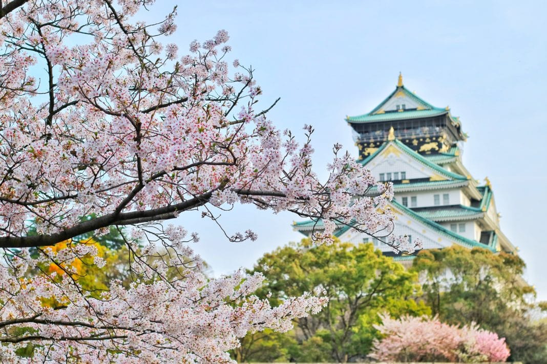 trekbible, travel, travel intel, trip ideas, cherry blossoms, cherry blossom, Japan, visit Japan, fall travel