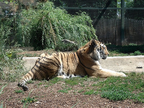 fun things to do in boise - Zoo