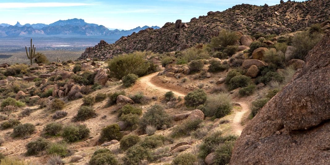 Things To Do In Scottsdale - McDowell Sonoran Conservancy