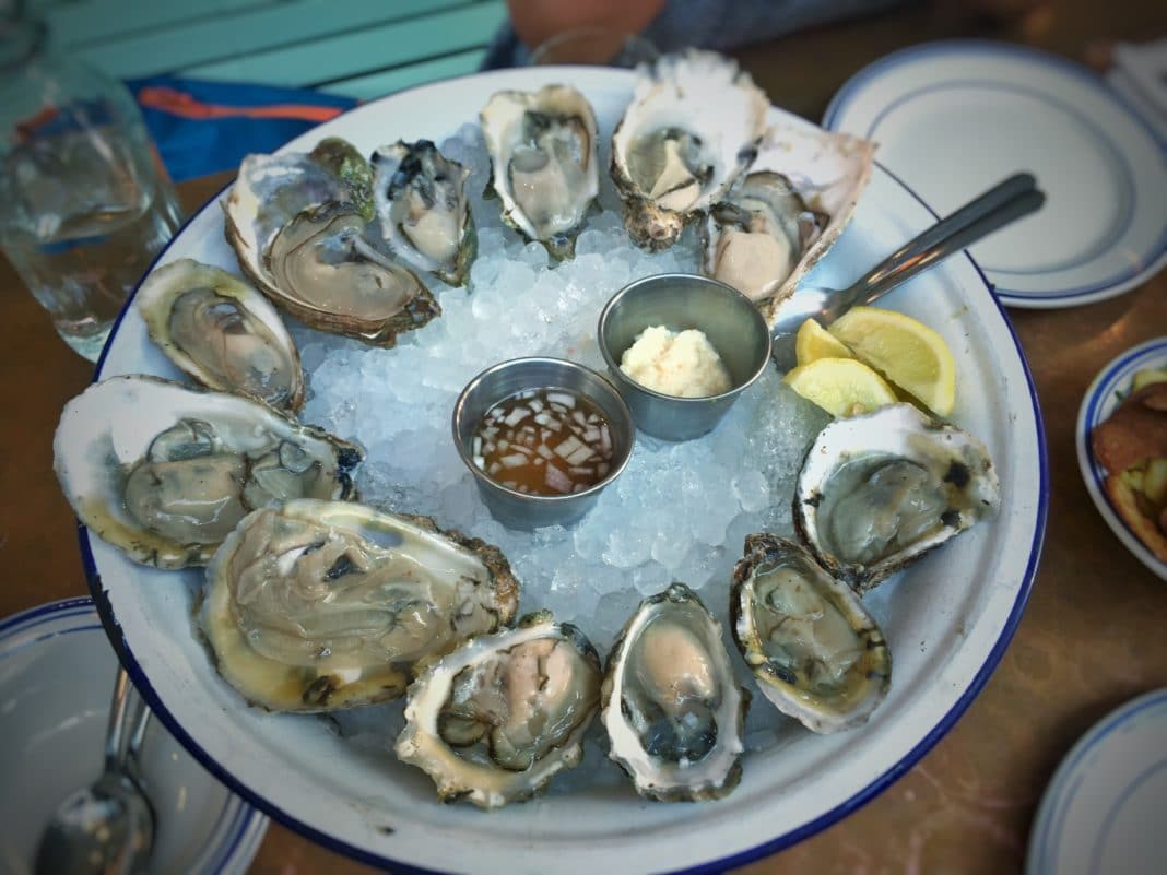 little italy restaurants -  Ironside Fish & Oyster