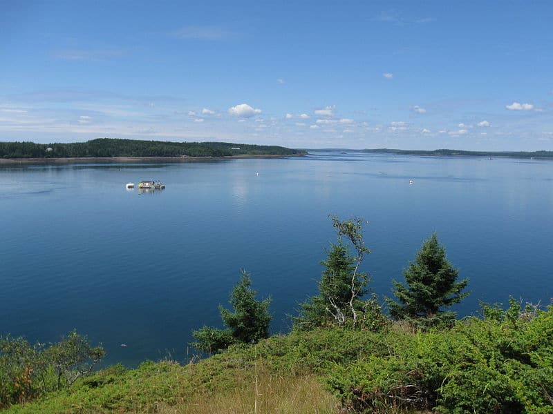 best places to visit in Maine - Cobscook Bay State Park