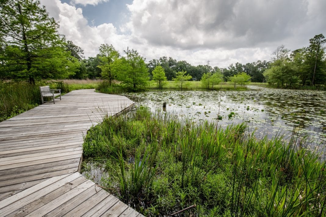 free things to do in houston - Houston Arboretum