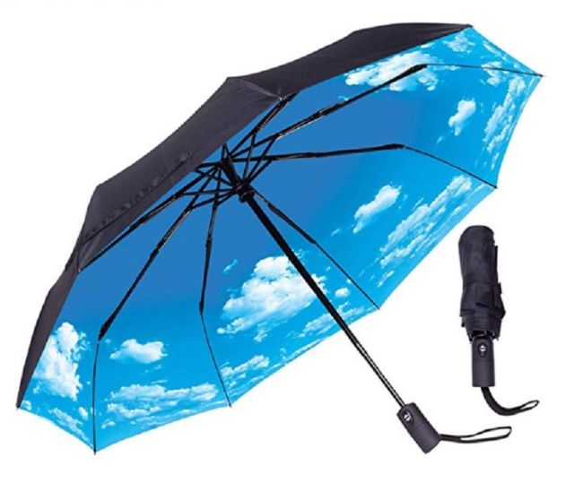 best travel umbrella - Rain-Mate Compact 