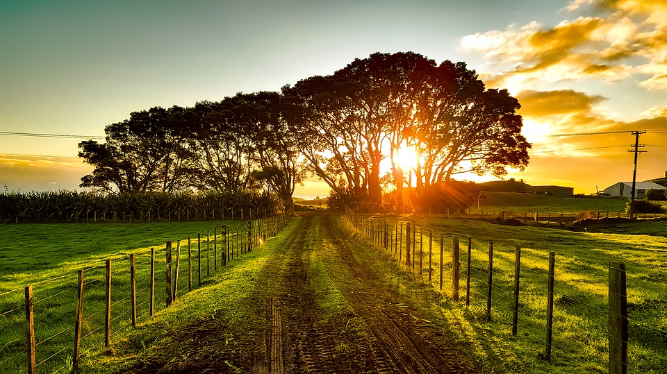 best time to visit new zealand - Wine Country