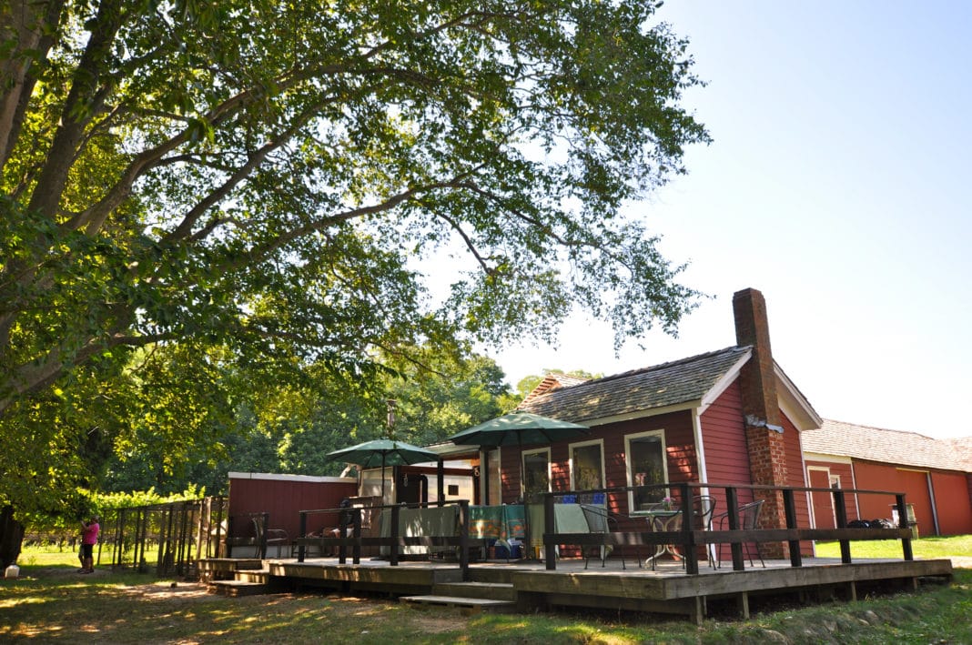 long island wineries - Old Field