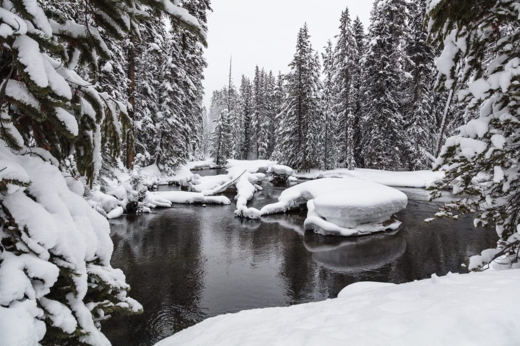 visit Yellowstone - Lone Star Geyser Trail