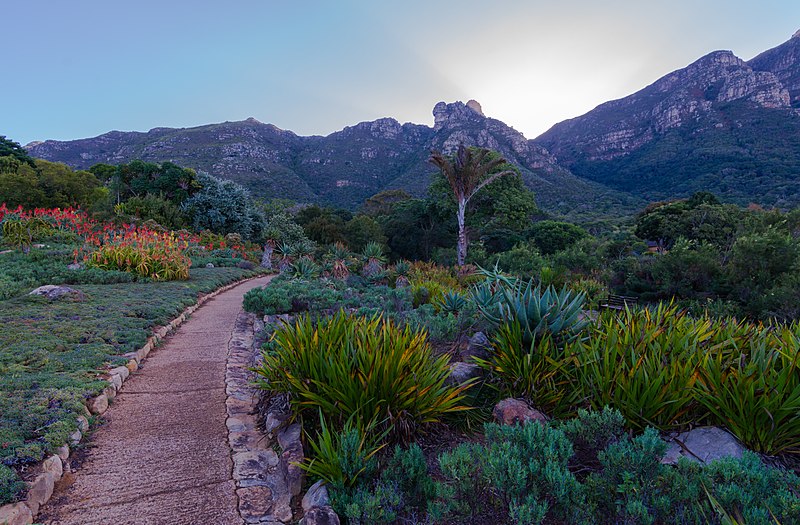 sights in cape town - Kirstenbosch National Botanical Garden