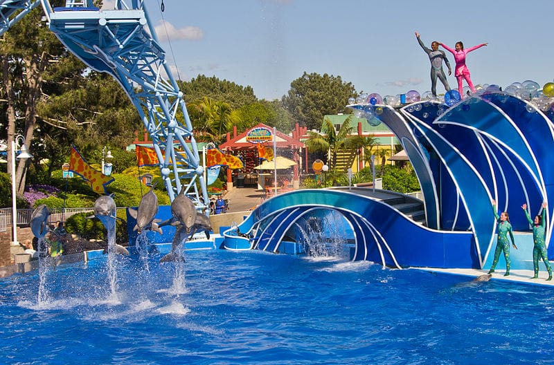 amusement parks in california - SeaWorld San Diego