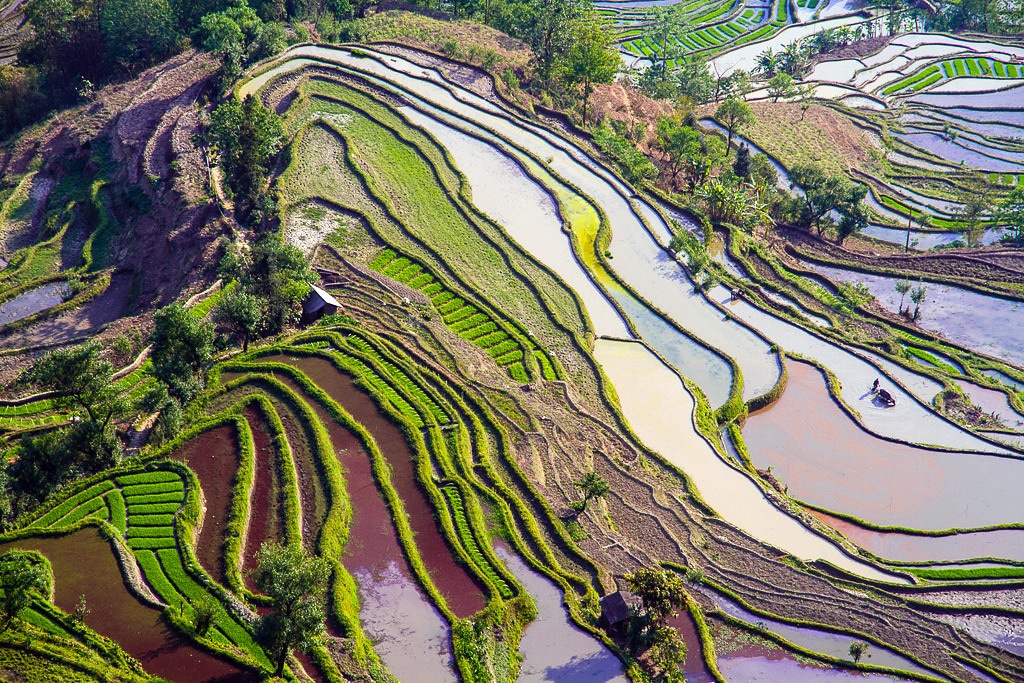 Chinese mountains - Yuanyang