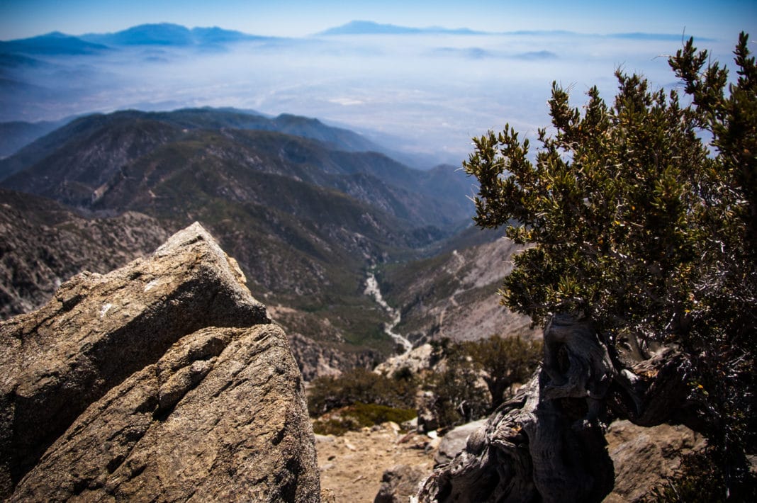 best hikes in southern california - Cucamonga Peak