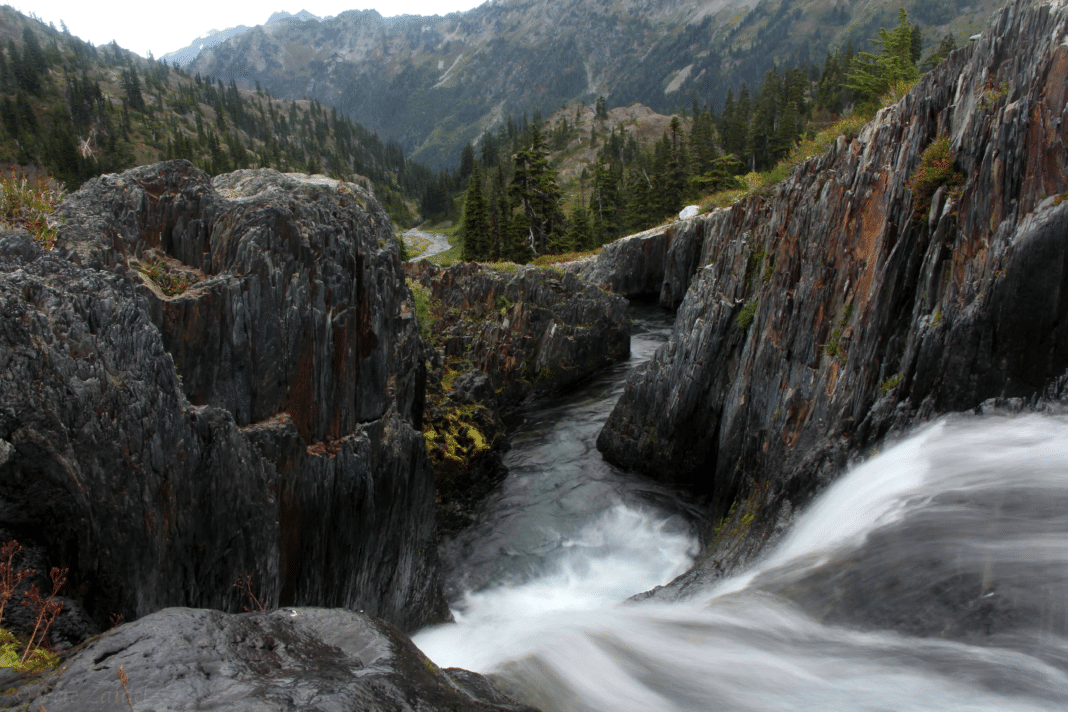 day trips from Seattle - Olympic National Park