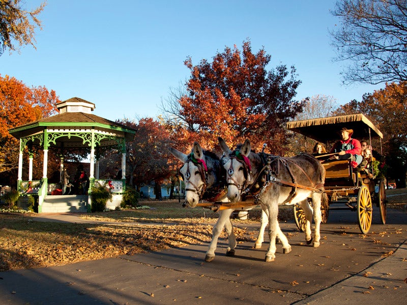 things to do in Dallas with kids - Heritage Village