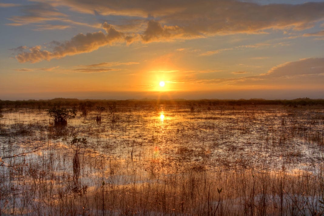 romantic getaways in florida - Everglades