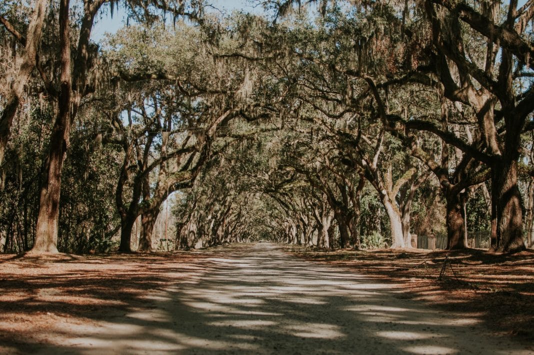 long weekend getaways - Savannah, Georgia