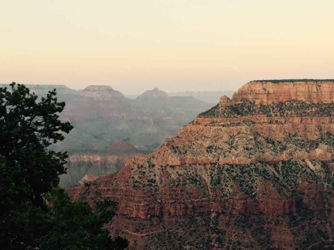 travel in 2019 - Grand Canyon