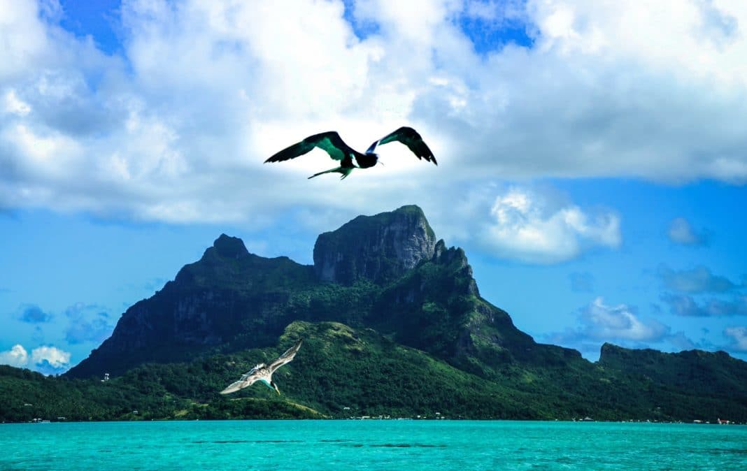 things to do in bora bora - lagoon tour