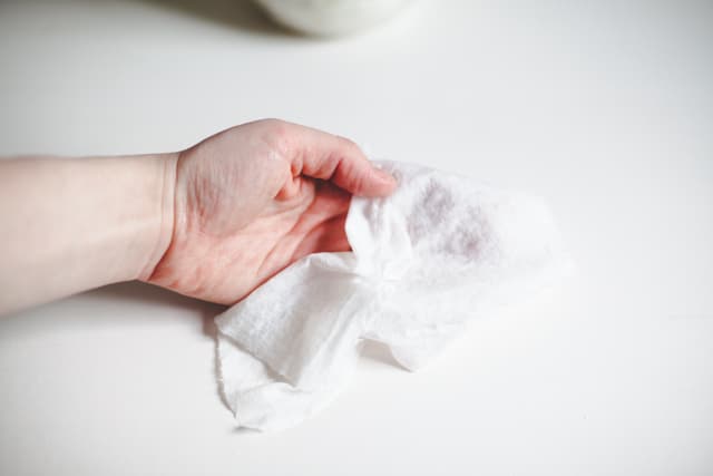 airplane essentials - Antibacterial Wipes