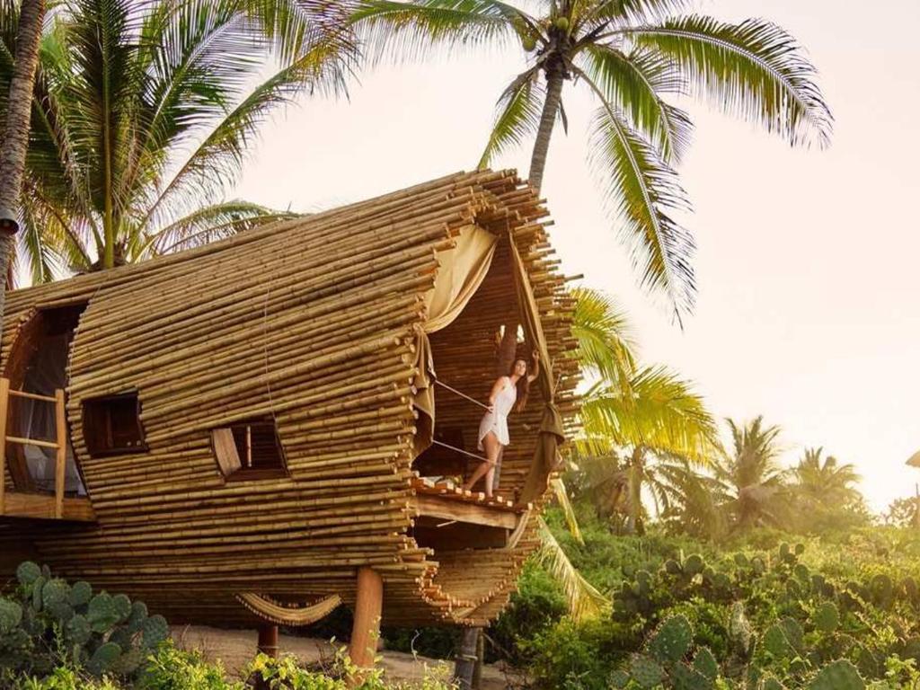 world’s coolest treehouse hotels - Playa Viva, Juluchuca, Mexico